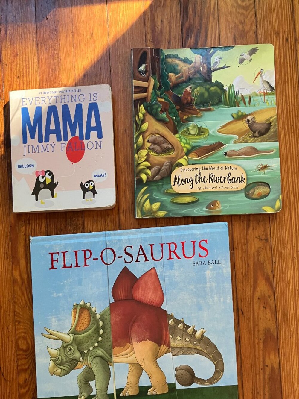 3 Board Book Bundle | Jimmy Fallon, Flip-O-Saurus & Riverbank